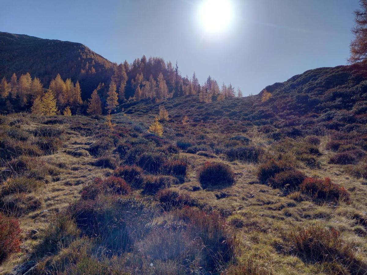 Nagelehof Διαμέρισμα Ainet Εξωτερικό φωτογραφία